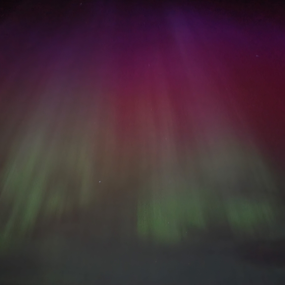 Meet your Posher, Mandie - Picture 2 of 2